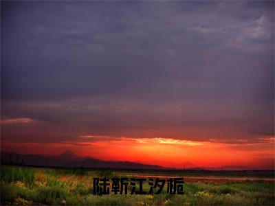 陆靳江汐栀全文免费阅读大结局江汐栀陆靳最新章节列表