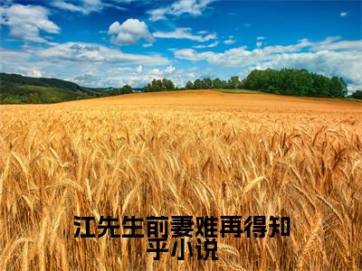 江先生前妻难再得小说最新试读_ 顾予笙江夜寒小说名是（江先生前妻难再得）_笔趣阁