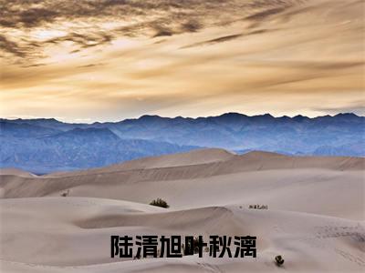 叶秋漓陆清旭(陆清旭叶秋漓最新全章节大结局)全文阅读-叶秋漓陆清旭陆清旭叶秋漓在线小说免费阅读