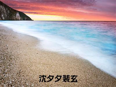 沈夕夕裴玄(沈夕夕裴玄)全文免费阅读-(沈夕夕裴玄)沈夕夕裴玄最新章节小说阅读-笔趣阁