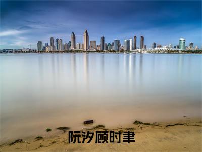 (热推新书)《阮汐顾时聿》全文免费阅读无弹窗大结局-阮汐顾时聿无弹窗阅读