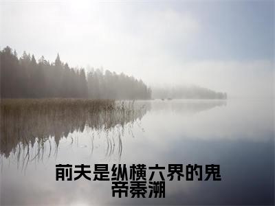 前夫是纵横六界的鬼帝秦溯（孟泱秦溯）全文免费阅读无弹窗大结局_前夫是纵横六界的鬼帝秦溯小说最新章节列表_笔趣阁