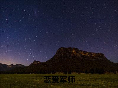 叶新晨(叶新晨)全文免费阅读无弹窗大结局_恋爱军师最新章节列表