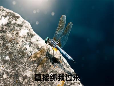  曹铋聱岑咔在线阅读（直接绑我过来小说）全文免费阅读无弹窗大结局_直接绑我过来免费最新章节列表
