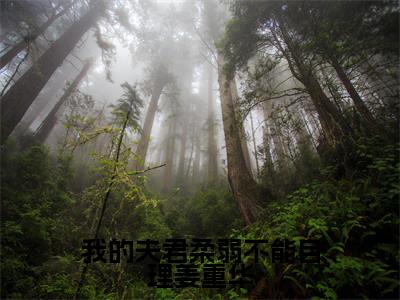 我的夫君柔弱不能自理姜重华小说全文免费阅读_(我的夫君柔弱不能自理姜重华)月般般姜重华最新章节列表笔趣阁