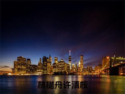 许清桉林樾舟(林樾舟许清桉)女生必看小说全集_林樾舟许清桉(许清桉林樾舟)全文免费阅读