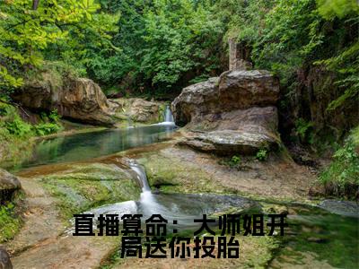 直播算命：大师姐开局送你投胎热门推荐小说（言倾）精彩章节阅读-直播算命：大师姐开局送你投胎全文免费在线阅读_笔趣阁