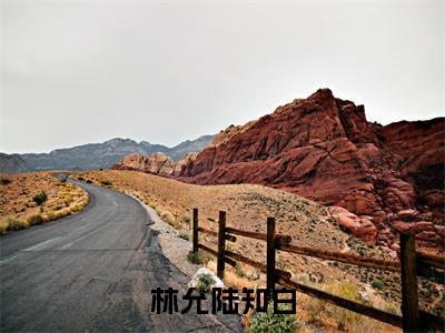 后续+全集林允陆知白（完整版）热文小说阅读-林允陆知白全文抖音热推
