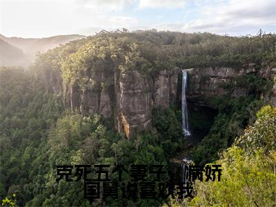 克死五个妻子，病娇国舅说喜欢我（顾怀舷林曦）小说全文免费阅读无弹窗大结局_顾怀舷林曦全文免费阅读