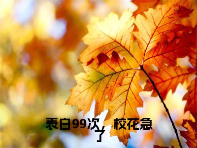 萧扬全文免费阅读大结局-表白99次,校花急了完整版无弹窗