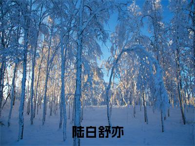 舒亦陆白正版小说最新章节在线阅读-陆白舒亦(舒亦陆白)全文无弹窗阅读
