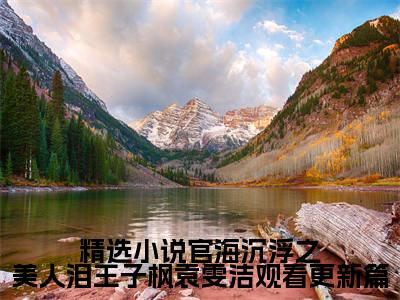 官海沉浮之美人泪王子枫袁雯洁观看更新篇小说（ 王子枫袁雯洁）全文免费阅读无弹窗大结局_（官海沉浮之美人泪王子枫袁雯洁观看更新篇） 王子枫袁雯洁小说最新章节列表