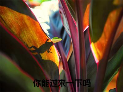 你能过来一下吗（姜念柔傅策）全文小说-姜念柔傅策小说最新章节免费阅读