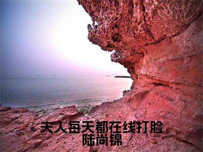 夫人每天都在线打脸陆尚锦（陆承洲陆尚锦免费小说）全文免费阅读无弹窗大结局_陆承洲陆尚锦免费小说最新章节列表_笔趣阁