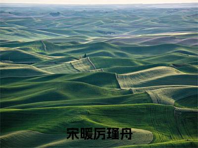 宋暖厉瑾舟(厉瑾舟宋暖)全文免费阅读无弹窗大结局_厉瑾舟宋暖小说全文无弹窗