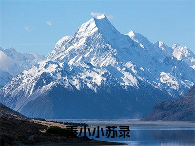 (秦小小苏录)完整版小说阅读,苏录秦小小小说精彩免费试读