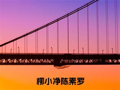 柳小净陈素罗(柳小净陈素罗小说)全文免费阅读无弹窗大结局_柳小净陈素罗最新章节列表_笔趣阁(柳小净陈素罗小说)