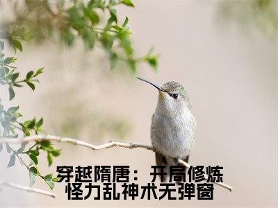 穿越隋唐：开局修炼怪力乱神术（ 秦渊张婵儿）全文免费阅读无弹窗大结局_穿越隋唐：开局修炼怪力乱神术免费阅读无弹窗最新章节列表