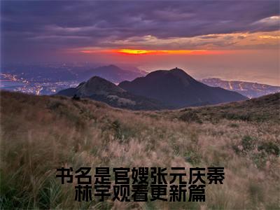 官嫂张元庆秦林宇观看更新篇小说在线阅读-主角叫 张元庆秦林宇的小说（官嫂张元庆秦林宇观看更新篇）完整版免费阅读全文