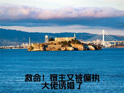 救命!宿主又被偏执大佬诱婚了小说(扶桑战神)热推新书_救命!宿主又被偏执大佬诱婚了最新章节在线阅读_笔趣阁