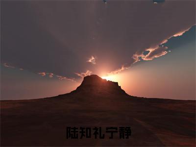 宁静陆知礼（陆知礼宁静）全文免费阅读无弹窗大结局_宁静陆知礼全文免费阅读（陆知礼宁静）最新章节列表