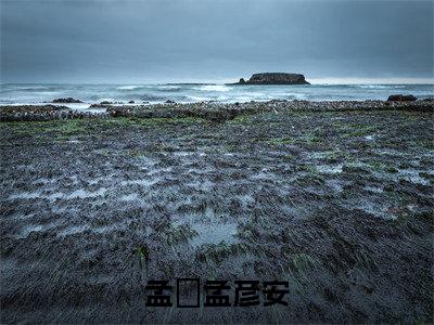 孟彦安孟枂小说免费下载阅读_（孟枂孟彦安）孟彦安孟枂最新章节列表_笔趣阁（孟枂孟彦安）
