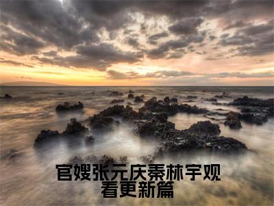  张元庆秦林宇官嫂张元庆秦林宇观看更新篇免费小说-官嫂张元庆秦林宇观看更新篇（ 张元庆秦林宇）已更新最新章节