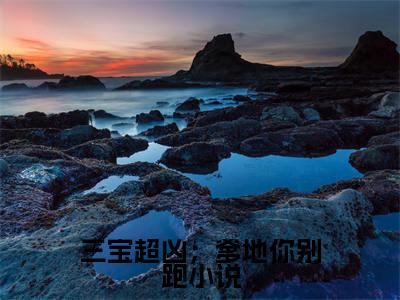 三宝超凶；爹地你别跑小说小说 蓝欣陆浩成最新更新— 蓝欣陆浩成小说美文赏析