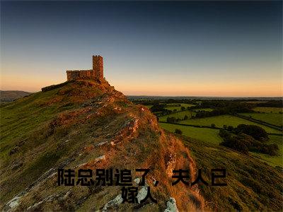 陆总别追了,夫人已嫁人 (陆景洐时念)小说全文免费_陆总别追了,夫人已嫁人 (陆景洐时念)最新章节目录笔趣阁