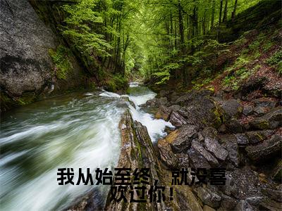 我从始至终,就没喜欢过你!最新章节(宋绾傅西彦)小说推荐阅读-新书我从始至终,就没喜欢过你!精彩阅读