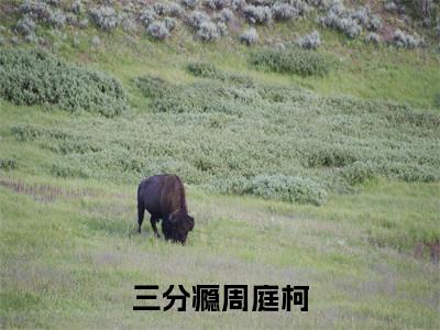 三分瘾周庭柯（白音洛周庭柯）小说全文免费阅读无弹窗大结局_（白音洛周庭柯）三分瘾周庭柯最新章节列表