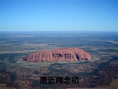 萧近柳念初(柳念初萧近)全文免费阅读无弹窗大结局_(柳念初萧近)最新章节