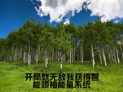 冯奕程（开局就无敌我获得智能领袖能量系统）完整版小说阅读-冯奕程小说（开局就无敌我获得智能领袖能量系统）精彩免费试读