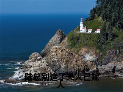 陆总别追了夫人已嫁人 (陆景洐时念全章节完整版)免费阅读-陆总别追了夫人已嫁人 全文无删减阅读