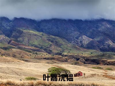 叶嘉沈韫全文免费阅读大结局叶嘉沈韫最新章节列表