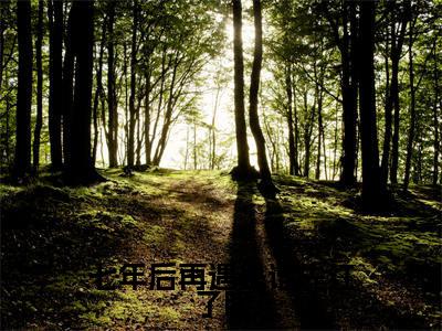 七年后再遇是谁先红了眼(薄云岫)小说全文-七年后再遇是谁先红了眼小说免费阅读大结局