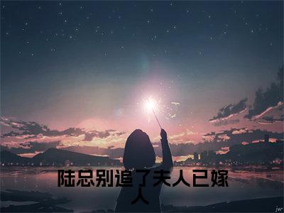 (陆景洐时念)全文免费阅读无弹窗大结局_陆总别追了夫人已嫁人 完整版最新阅读_笔趣阁(陆景洐时念)