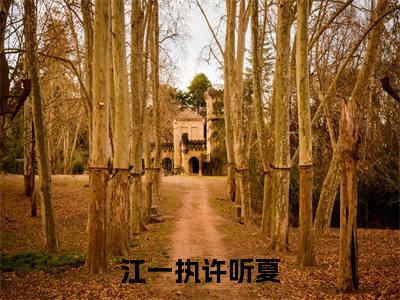 江一执许听夏(江一执许听夏全章节完整版)免费阅读_(江一执许听夏)江一执许听夏全文无删减免费阅读