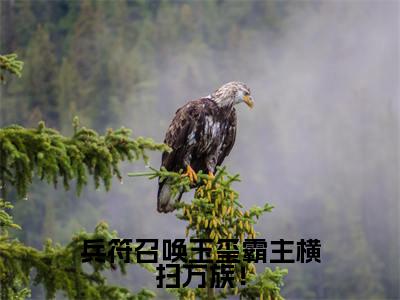 兵符召唤玉玺霸主横扫万族!全文免费在线阅读_(陆云凌雪免费阅读无弹窗)兵符召唤玉玺霸主横扫万族!全文免费完结版阅读