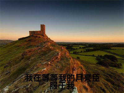 我在等等我的月亮臣服于我(周景霁何之雾)全文免费阅读无弹窗-周景霁何之雾小说完整版在线阅读