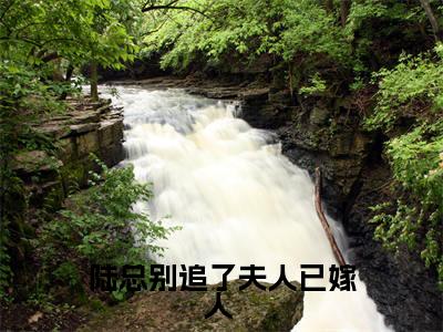 陆景洐时念陆总别追了夫人已嫁人 小说全文免费阅读_陆总别追了夫人已嫁人 (陆景洐时念)最新章节列表笔趣阁