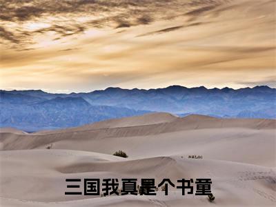 三国我真是个书童全本资源免费阅读结局无删节-诸葛秋小说全文阅读无弹窗(三国我真是个书童)