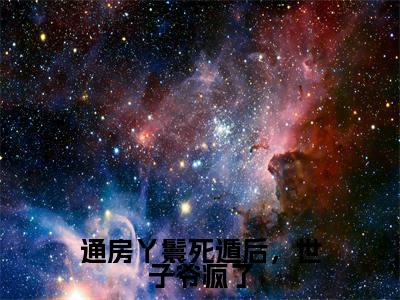 通房丫鬟死遁后,世子爷疯了木槿纪玄全文免费阅读无弹窗大结局_木槿纪玄小说免费阅读
