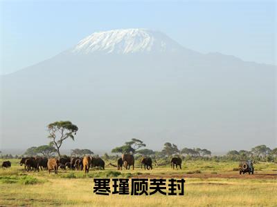 寒瑾顾芙封最新章节（顾芙封寒瑾）全文免费阅读无弹窗大结局_顾芙封寒瑾寒瑾顾芙封全文免费阅读