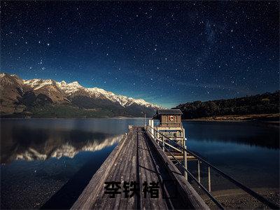 李铁褚徎(李铁褚徎)全文免费阅读无弹窗大结局_李铁褚徎最新章节列表(李铁褚徎)