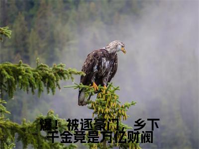唐繁霍寒凛(爆!被逐豪门,乡下千金竟是万亿财阀)小说全文-爆!被逐豪门,乡下千金竟是万亿财阀小说免费阅读大结局