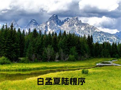 白孟夏陆槐序(白孟夏陆槐序)全文免费阅读无弹窗大结局_白孟夏陆槐序免费阅读全文大结局