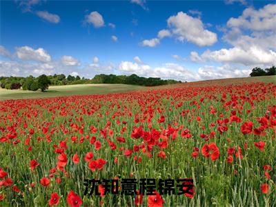 （热推新书）沈知意程锦安完整版免费小说无弹窗阅读_沈知意程锦安最新章节列表_笔趣阁（程锦安沈知意）