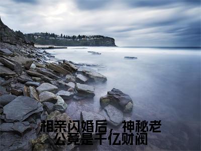 相亲闪婚后,神秘老公竟是千亿财阀(司娴蓝启默)全文免费阅读无弹窗大结局_(司娴蓝启默在线阅读)最新章节列表笔趣阁(司娴蓝启默)