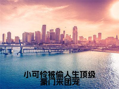 黎小鸭盛玉霄小说(小可怜被偷人生顶级豪门来团宠已完结小说全集完整版大结局)小可怜被偷人生顶级豪门来团宠小说全文阅读笔趣阁
